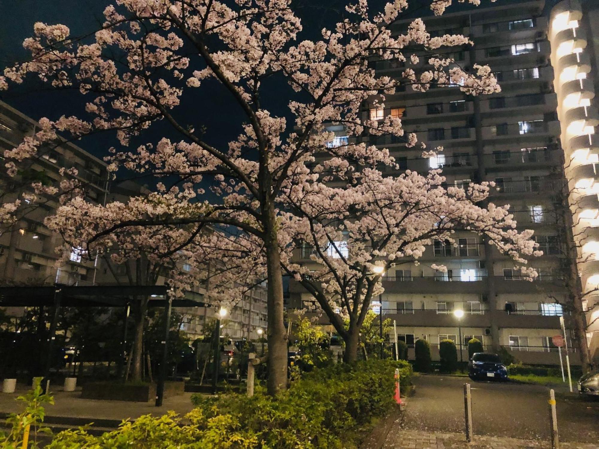 Jl 東京 House - 駐車場付き築浅のまるごと貸切住宅 Tōkyō Extérieur photo